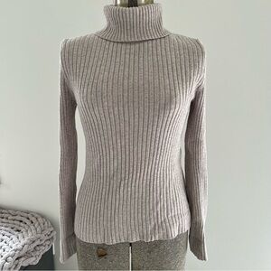 Express Long Sleeve Turtleneck